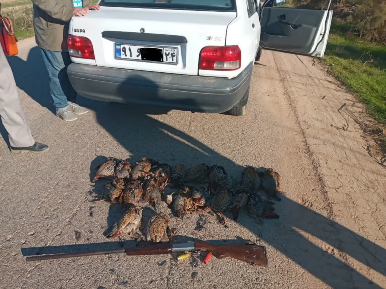 دستگیری متخلفین شکار غیرمجاز پرندگان وحشی در دهلران