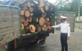 ۵ تن چوب قاچاق در شهرستان دهلران توقیف شد.