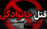 ۳۱ قربانی در یک ماه/ بررسی زنجیره‌ای از جنایات خانوادگی